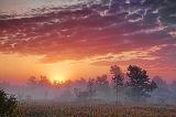 Foggy Sunrise Landscape_21190